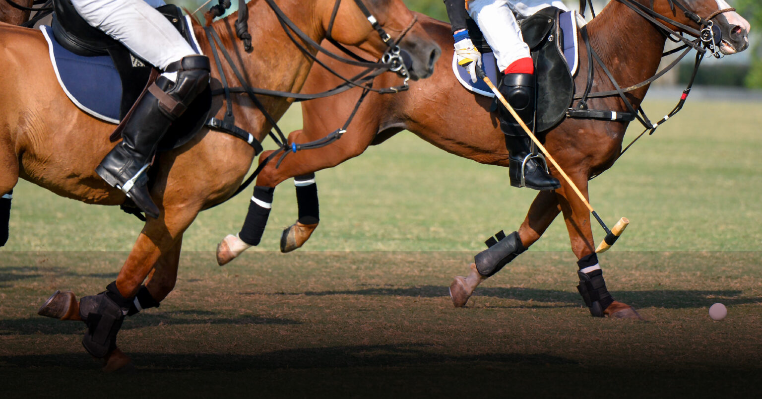 Events Polo AlMarsa Qatar s First Waterfront Polo Experience